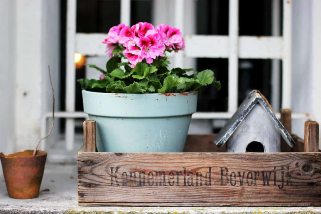 pink flowers in a ceramic pot sitting next to a small bird house.