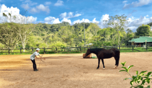 Woman training with a horse in Costa Rica