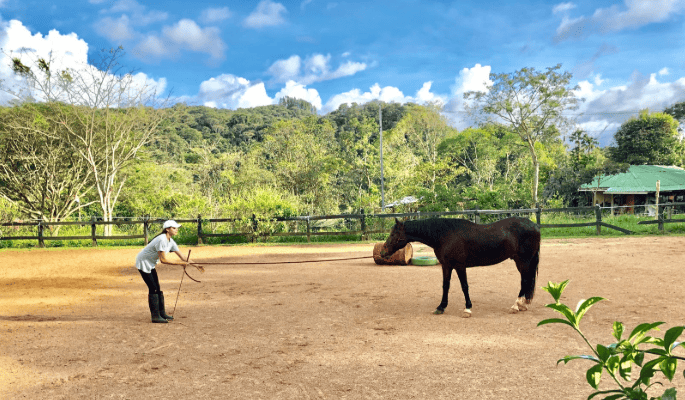 A woman training with a horse in Costa Rica.